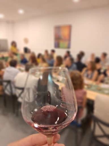 Cata de vinos para los comercios del barrio de Patraix organizada en GDM