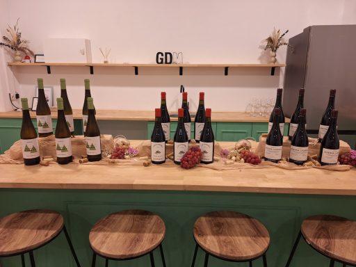 Selección de vinos para una degustación guiada en Valencia