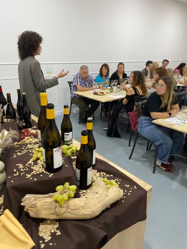 Sommelier para cata de vinos privada en Valencia