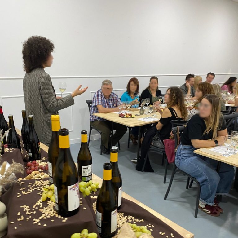 Cata de vino guiada para grupos en Valencia