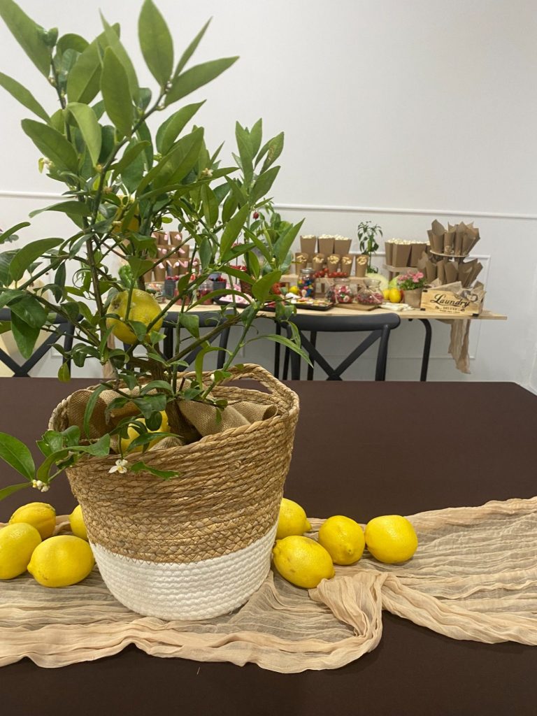 Limonero natural decorativo en centro de mesa, decoración floral personalizada en eventos Limonero natural en mesa