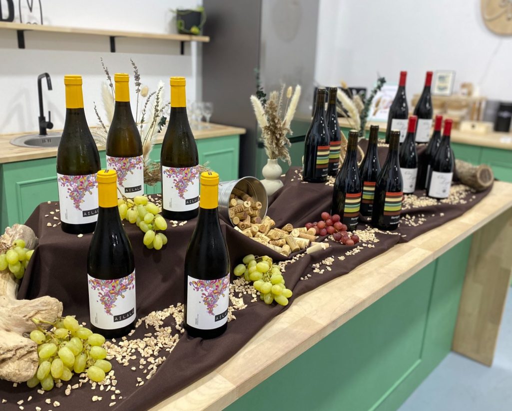 Cata de vino para grupos en Valencia